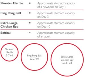 Chart belly balls Ameda